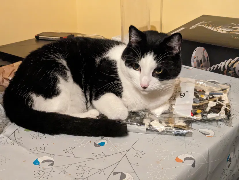 Thẻ Tên Cho Máy Cho Ăn Thông Minh Sure Petcare SureFeed - Image 7