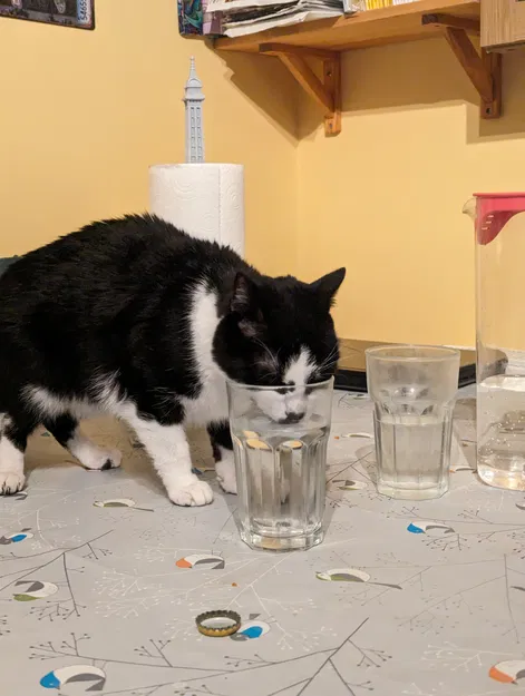 Thẻ Tên Cho Máy Cho Ăn Thông Minh Sure Petcare SureFeed - Image 8