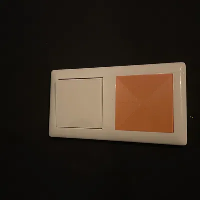 Nắp Che Mặt Công Tắc Gira System 55