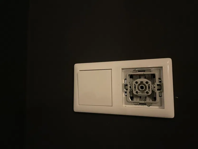 Nắp Che Mặt Công Tắc Gira System 55 - Image 4