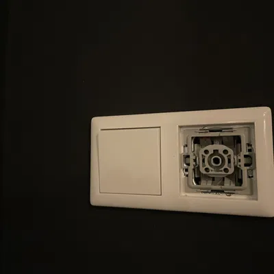 Nắp Che Mặt Công Tắc Gira System 55