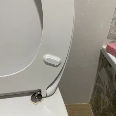 Chặn Caệt Bô Roca Victoria