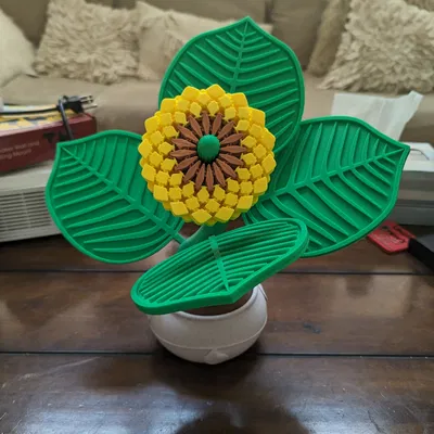 Đế Lót Ly Hình Hoa Hướng Dương - Remix