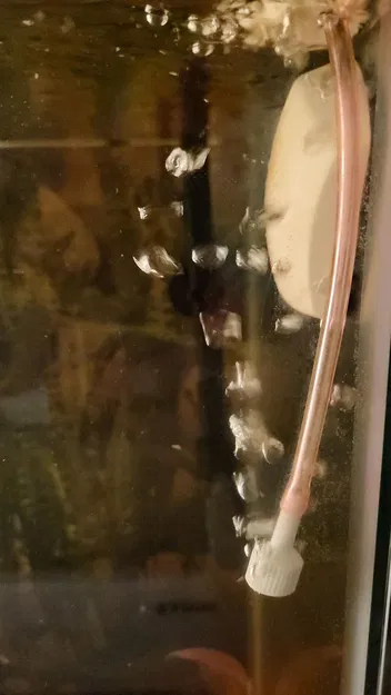 đá sủi oxy cho cá - Image 1