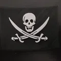 Cờ Jolly Roger trên tàu Black Pearl - Thumbnail 2