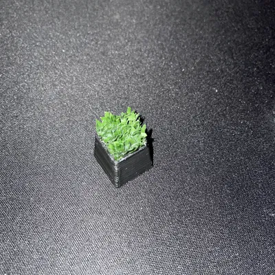 Keycap "Ra Vườn Làm Cỏ"