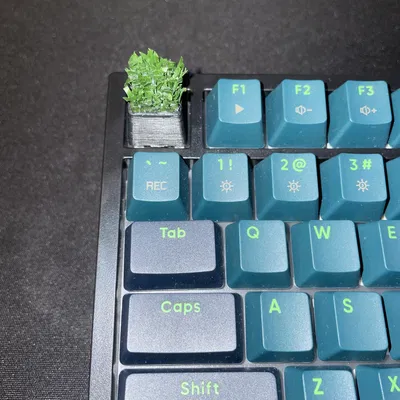 Keycap "Ra Vườn Làm Cỏ"