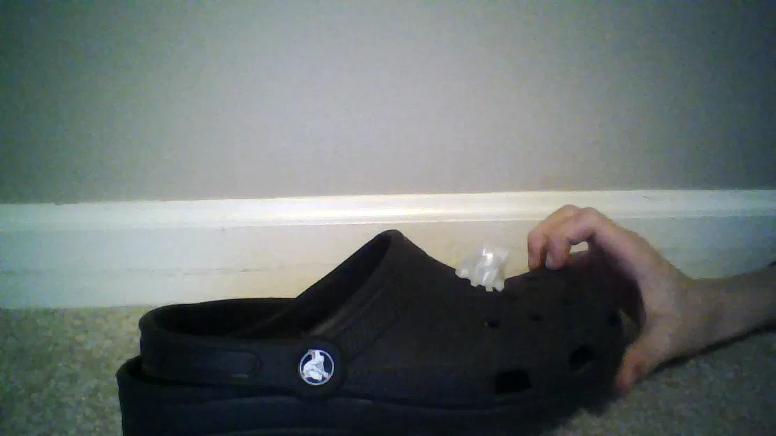 Ếch Fred Cưỡi Cá Sấu - Image 1