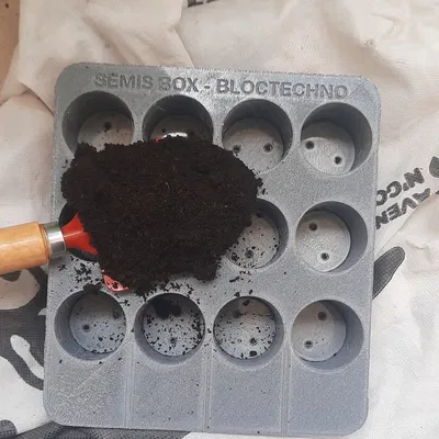 Khay Gieo Hạt "seed plate"