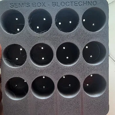 Khay Gieo Hạt "seed plate"