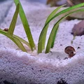 Đèn hồ cá và hộp bo mạch chủ - Thumbnail 8