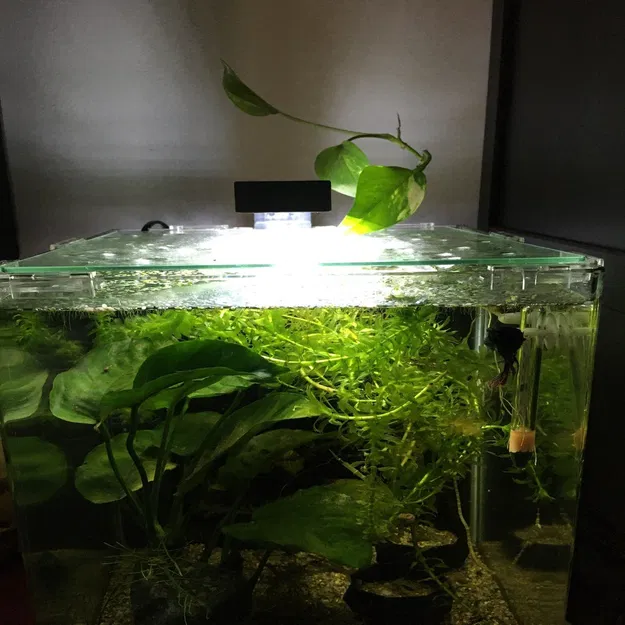 Chao đèn cho hệ thống đèn LED Chihiros Series C - Image 4