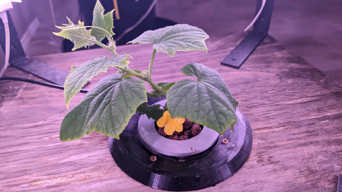 Chèn Tháp Thủy Canh Cho Một Cây - Image 1