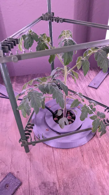 Chèn Tháp Thủy Canh Cho Một Cây - Image 2