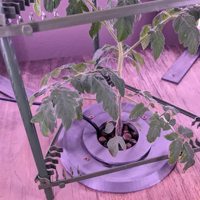 Chèn Tháp Thủy Canh Cho Một Cây