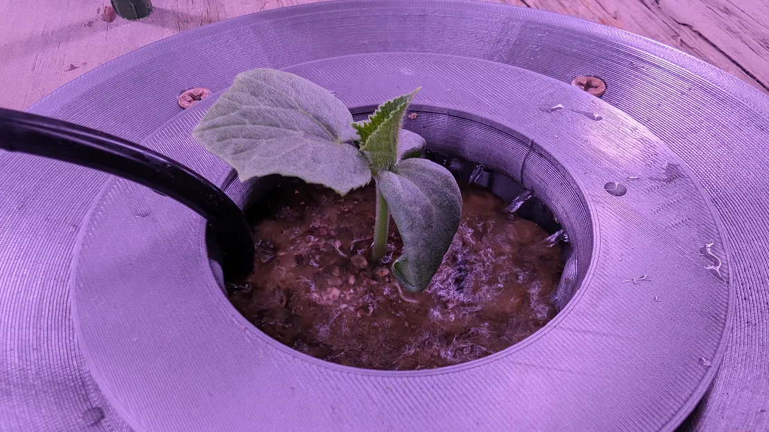 Chèn Tháp Thủy Canh Cho Một Cây - Image 8