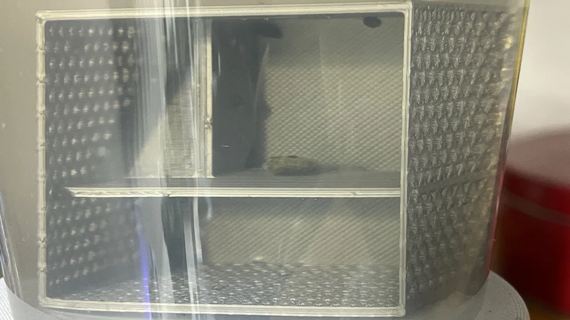 Lồng & Ban Công Ốc Nhỏ - Image 2