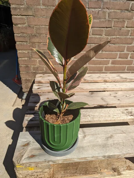 Chậu Cây Thanh Lịch - Image 2