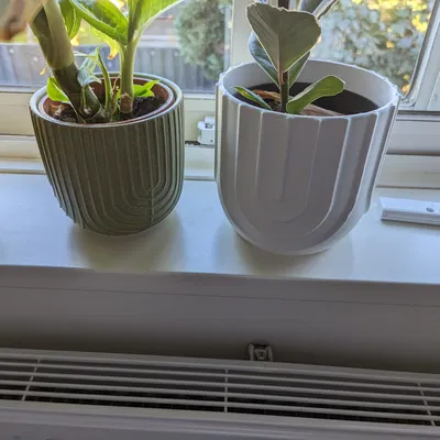 Chậu Cây Thanh Lịch