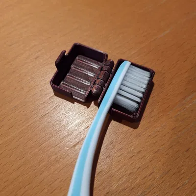 Hộp đựng bàn chải du lịch in liền