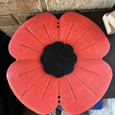 Hoa Anh Túc Ngày ANZAC