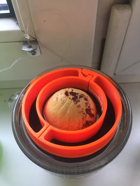 Vỏ Hạt Bơ Có Thể Mở - Image 4