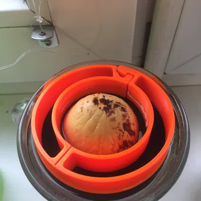 Vỏ Hạt Bơ Có Thể Mở