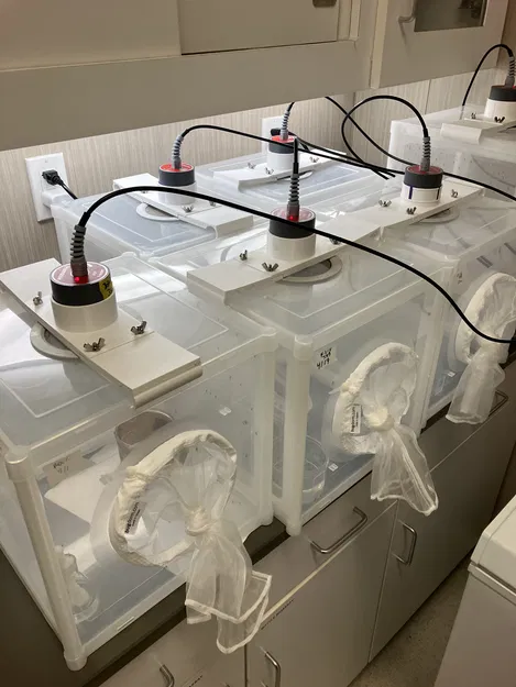 Giá đỡ Hemotek Blood Feeder cho Lồng BugDorm - Image 1