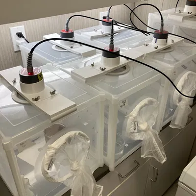 Giá đỡ Hemotek Blood Feeder cho Lồng BugDorm