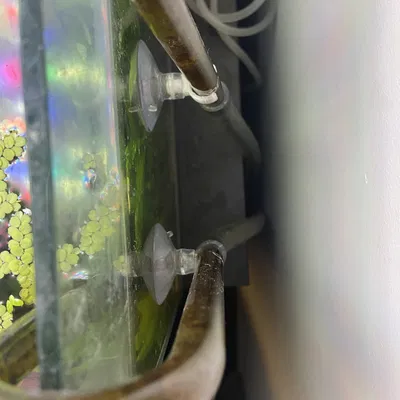 Bộ Kẹp Hồ Cá Giữ Ống & Đầu Dò pH/CO2