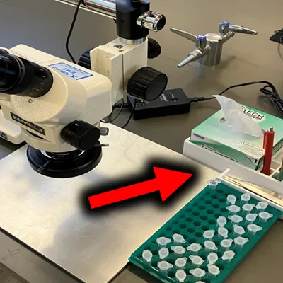 Kệ Đựng & Sắp Xếp Phụ Kiện Kính Hiển Vi