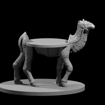 Mô hình Lạc đà có và không có khe cắm mini