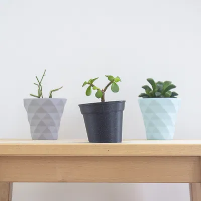 Chậu Cây Nghiêng Nhỏ