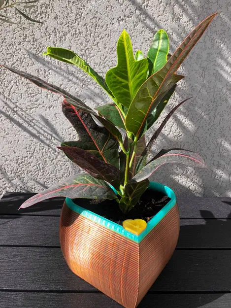 Chậu Tự Tưới Hình Trái Tim - Image 3