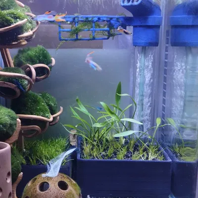 Bộ lọc dưới nền cho hồ cá / Undergravel filter for aquarium