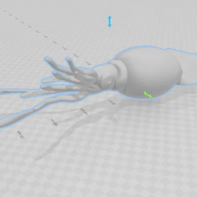 Mực Khổng Lồ (Colossal Squid)