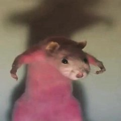 GadgetGoblin_1642733