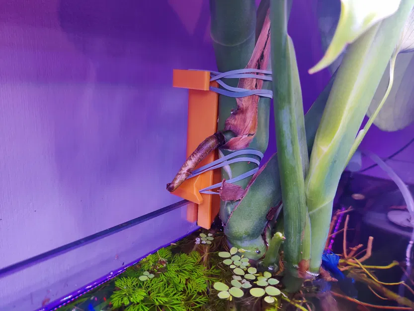 Giá Treo Cây Thủy Sinh Cho Hồ Cá - Image 1