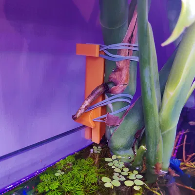 Giá Treo Cây Thủy Sinh Cho Hồ Cá