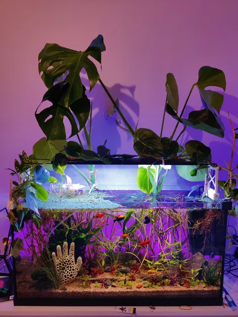 Giá Treo Cây Thủy Sinh Cho Hồ Cá - Image 2