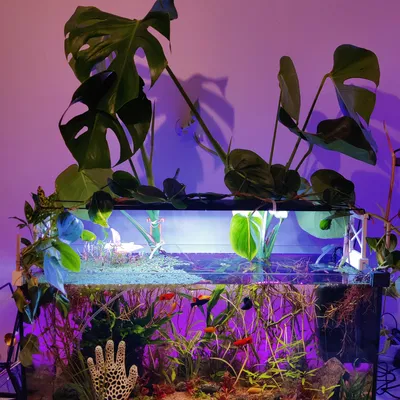 Chân đế LED Module cho Hồ Cá