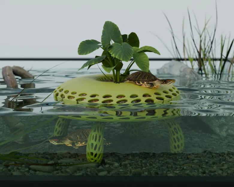 Đảo Rùa Sinh Học - Image 1