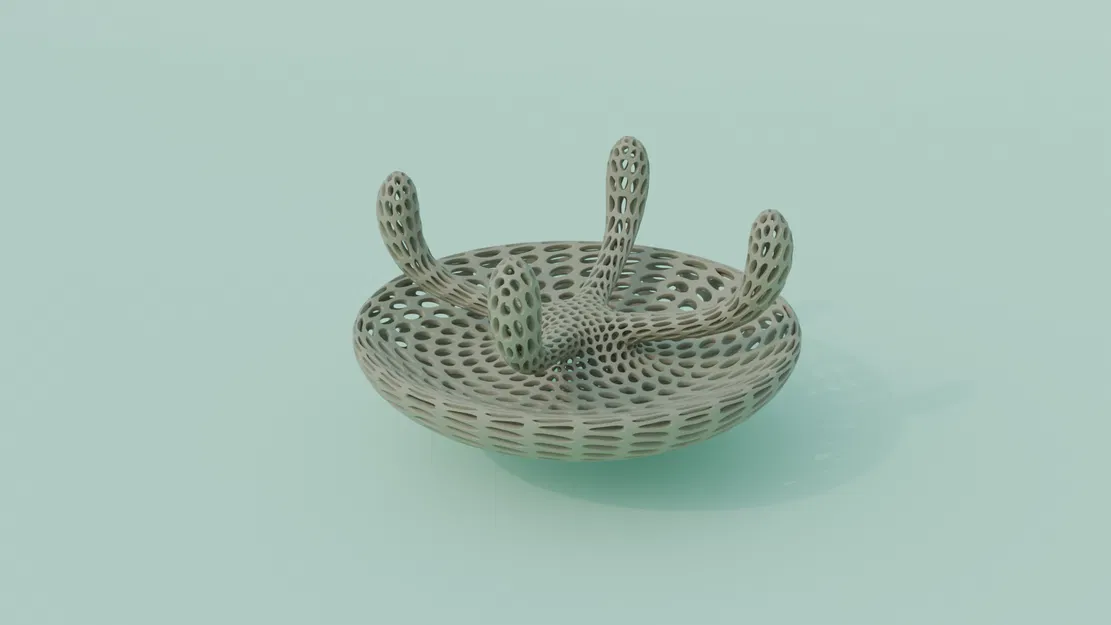 Đảo Rùa Sinh Học - Image 3