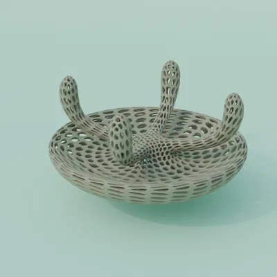 Đảo Rùa Sinh Học