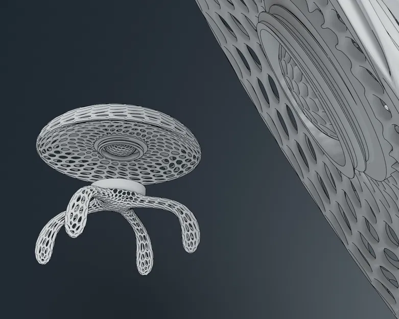 Đảo Rùa Sinh Học - Image 4