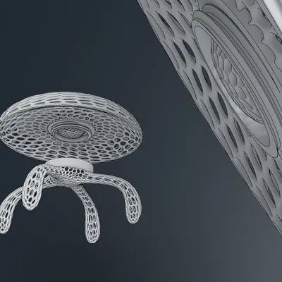 Đảo Rùa Sinh Học