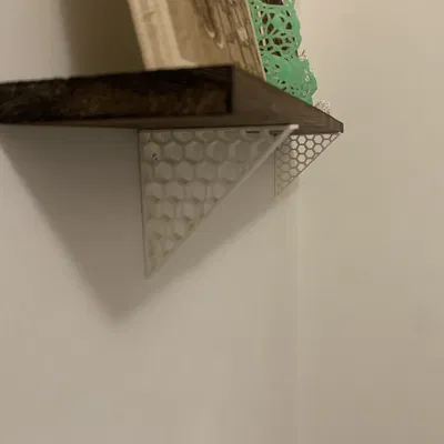 Kệ Ong Tổ Ong - Reggimensola Honeycomb