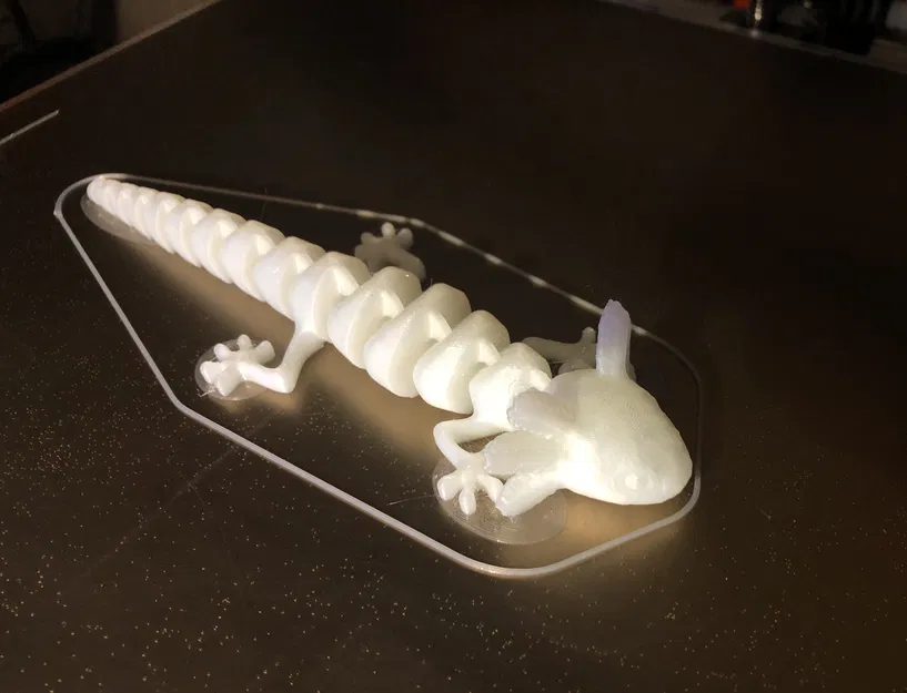 Kỳ Nhông Axolotl Khớp Nối (Có Thêm Vành Chọn Lọc) - Image 1