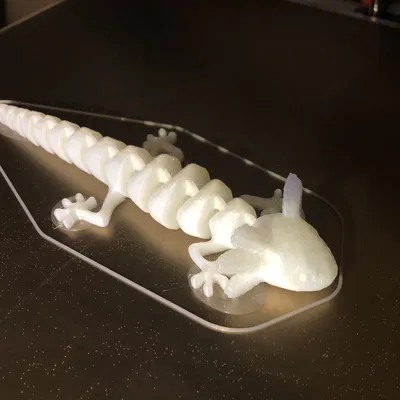 Kỳ Nhông Axolotl Khớp Nối (Có Thêm Vành Chọn Lọc)