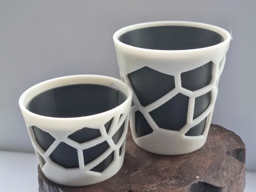 CHẬU TRỒNG XƯƠNG RỒNG & HOA NHỎ KIỂU VORONOI - Image 5